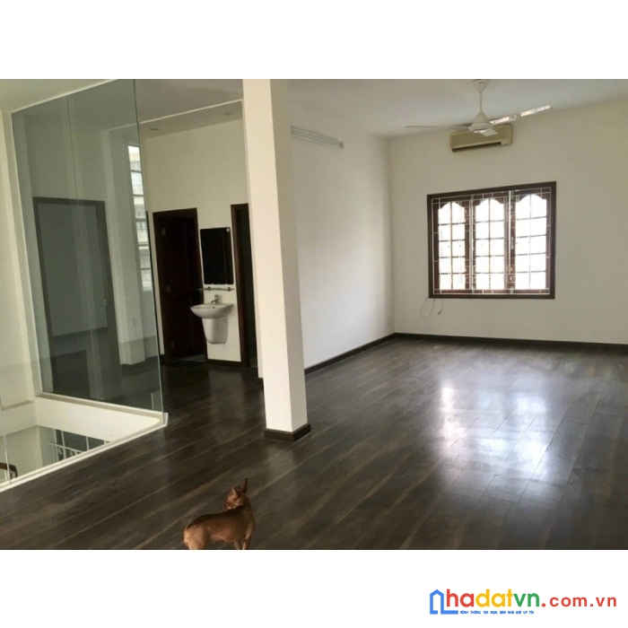 Bán nhà mặt tiền nguyễn trọng tuyển phú nhuận 251m2 49 tỷ