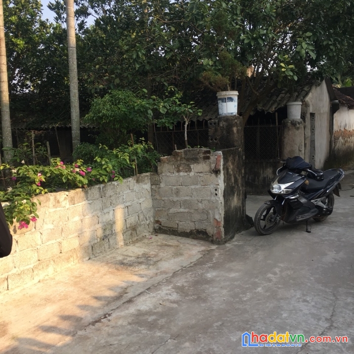 Bán gấp nhà xã dân lý, huyện triệu sơn, tỉnh thanh hóa, 472m2, mt 18m, hướng đông nam, mtg