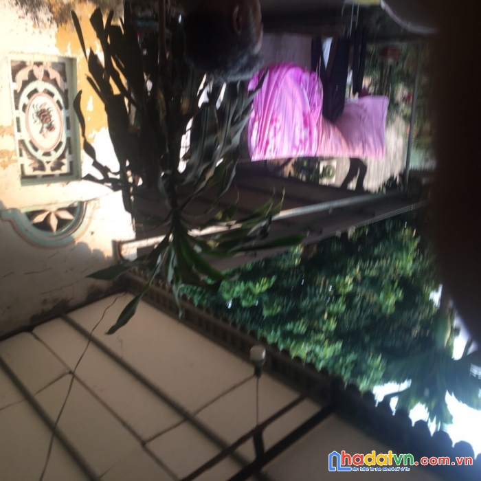 Bán gấp nhà xã dân lý, huyện triệu sơn, tỉnh thanh hóa, 472m2, mt 18m, hướng đông nam, mtg