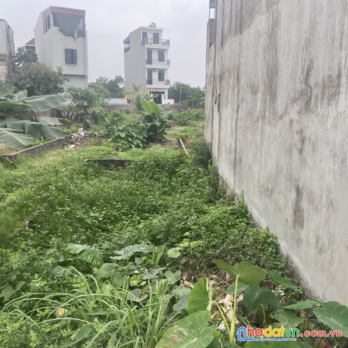 Nhỉnh tỉ có mảnh 40m lê xá, xã mai lâm, huyện đông anh, thành phố hà nội.