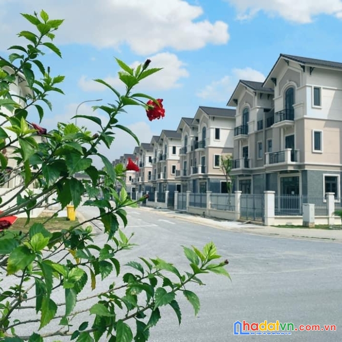 Biệt thự siêu hót 135m2 trung tâm thủ đô giá chỉ 6,x tỷ tại centa city từ sơn