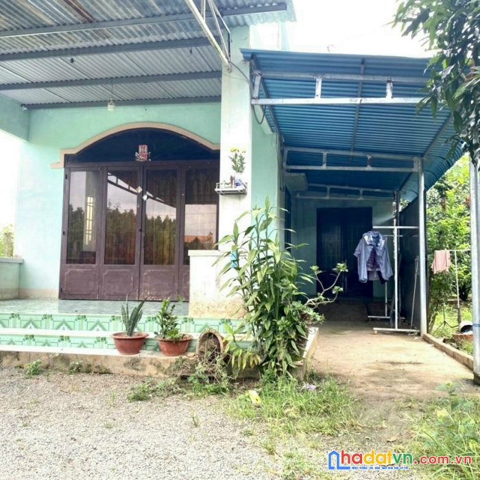 Bán nhà vườn nghỉ dưỡng 600m2 có 80m2 thổ cư, có vườn bưởi chỉ 3ty1