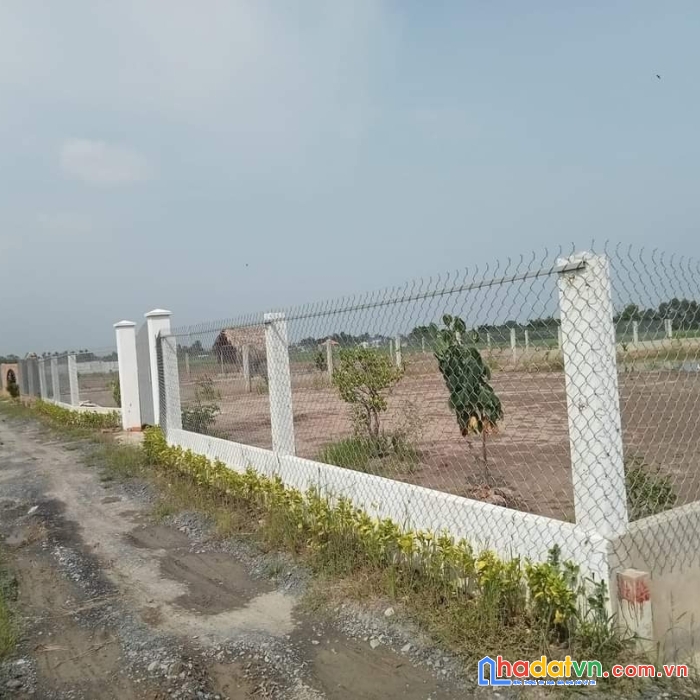 Cần bán gấp lô đất vị trí đẹp tại ấp kế mỹ, xã mỹ lộc, huyện cần giuộc, tỉnh long an.