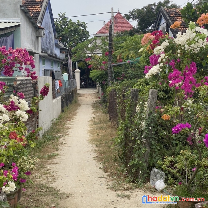 Sở hữu ngay  lô đất vị trí đắc địa tại xã ninh diêm, ninh hòa, khánh hòa