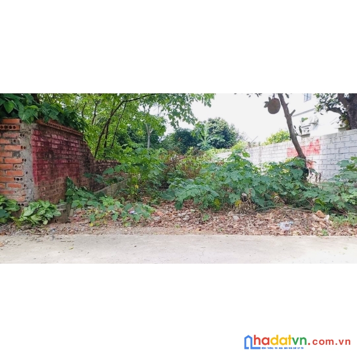 Chính chủ bán đất 132m trục chính thôn 7 tân xã