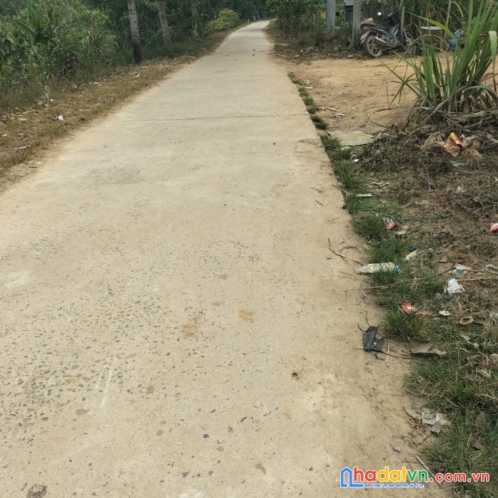 Sở hữu ngay lô đất đẹp vị trí đắc địa tại xã liêng sronh, huyện đam rông, lâm đồng