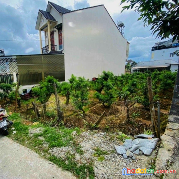 (giảm kịch sàn) bán gấp đất xd đường nguyễn công trứ, đà lạt 150m2 giá chốt chỉ 6.8 tỷ