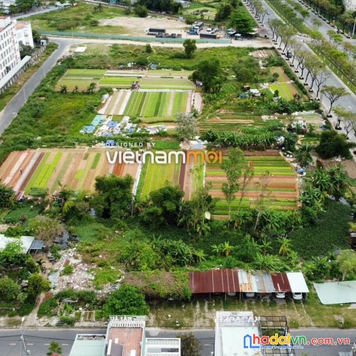 Sang nhượng rẻ đất lớn xây cao tầng 1.500m2 - toạ lạc lý thường kiệt -chỉ 2xx tỷ.