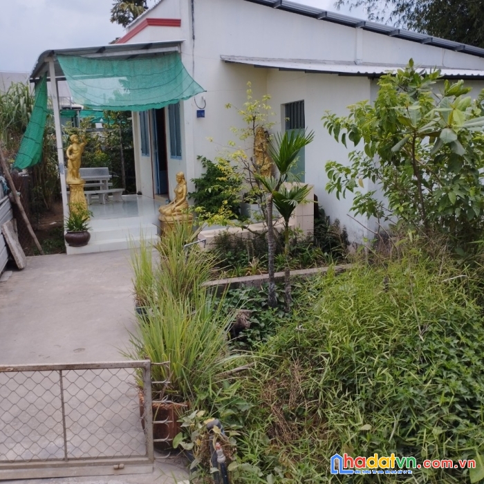 Chính chủ bán gấp đất + nhà c4 vị trí đẹp tại phường 3, tp vĩnh long