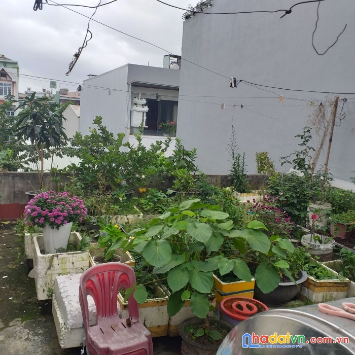 .nhà thi sách ô tô đậu, 100m2, ngang 5.5, cổng sân bay