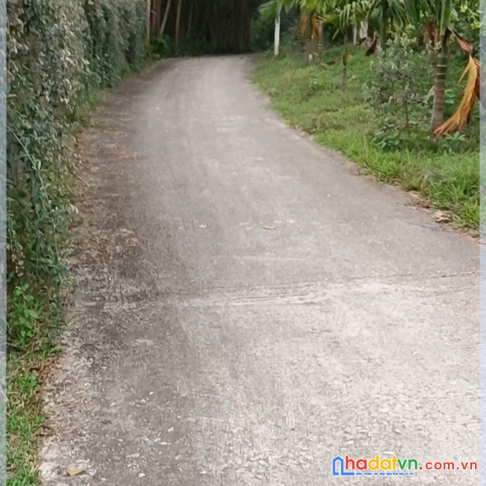 Chính chủ : cần bán khu đất nghỉ dưỡng tại xã tân kim huyện phú bình - thái nguyên diện tích gần