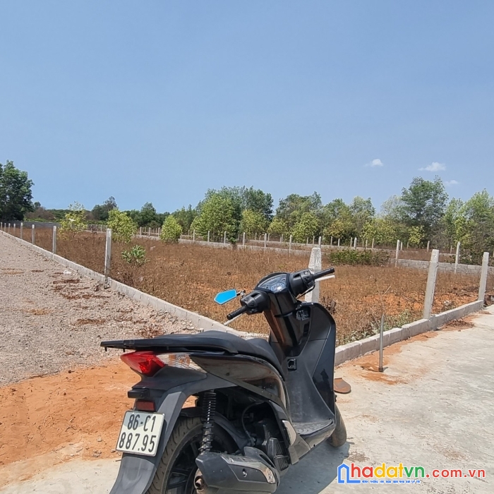 Cần bán nhanh 2000m2 lô 2 đường 715 đói diện cafe ngọc sương quy hoạch thổ cư