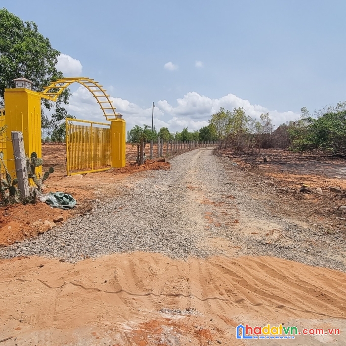 Cần bán nhanh 2000m2 lô 2 đường 715 đói diện cafe ngọc sương quy hoạch thổ cư