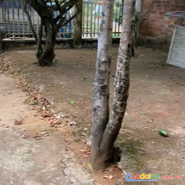 Cho thuê nhà riêng ở đào duy từ, phường lộc phát, bảo lộc, lâm đồng