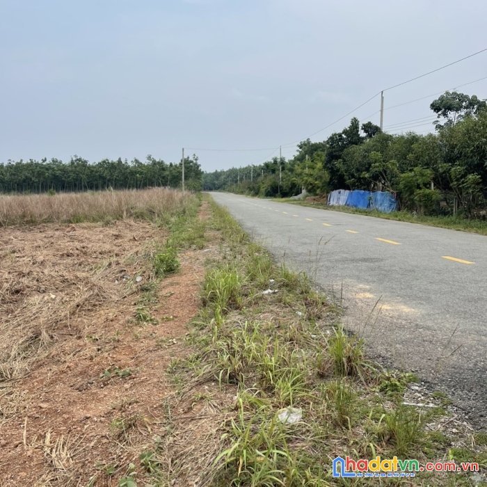 Cần bán lô đất ở , xã thạnh phú - huyện vĩnh cửu - đồng nai