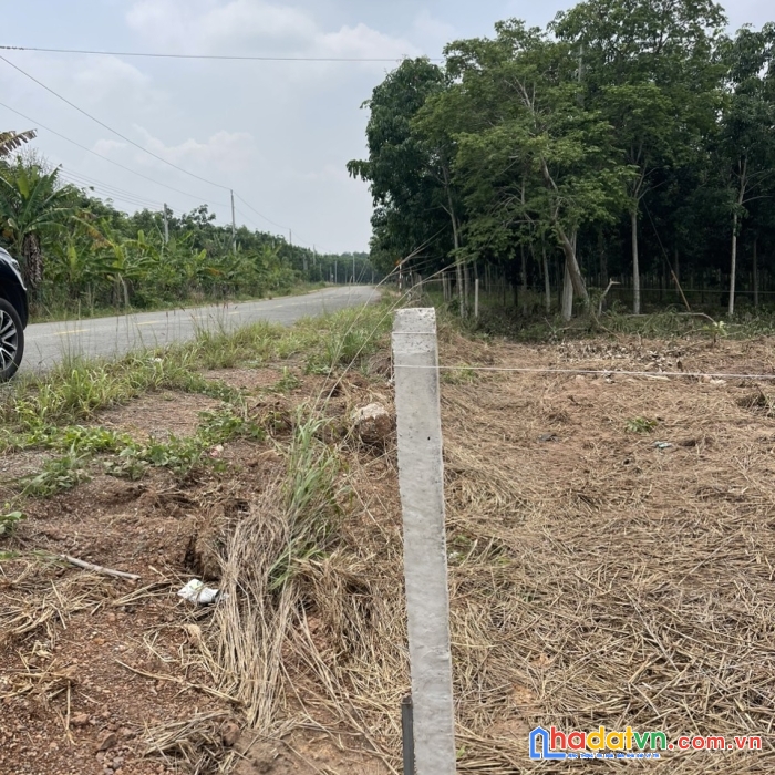 Cần bán lô đất ở , xã thạnh phú - huyện vĩnh cửu - đồng nai