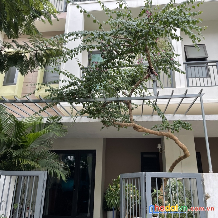 Bán liền kề 3 tầng kđt belhomes vsip bắc ninh đã hoàn thiện full nội thất