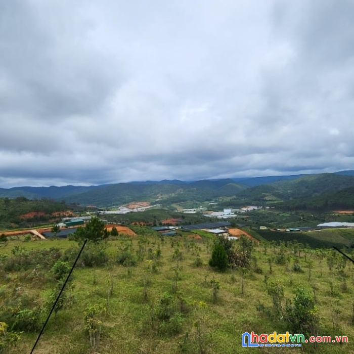 (giảm mạnh ) chỉ 2.2 tỷ sở hữu ngay 5000m2 đất view đẹp giá rẻ tại đa sar, lạc dương