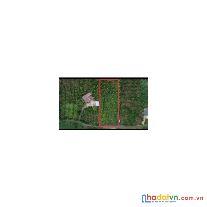 Cần bán lô đất vườn vị trí đẹp tại đắk lắk