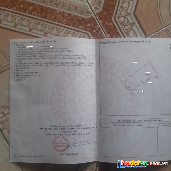 Chính chủ cần bán gấp lô đất hơn 1000m tại xã tân đưc huyện phú bình thái nguyên ngay gần ubnd xã