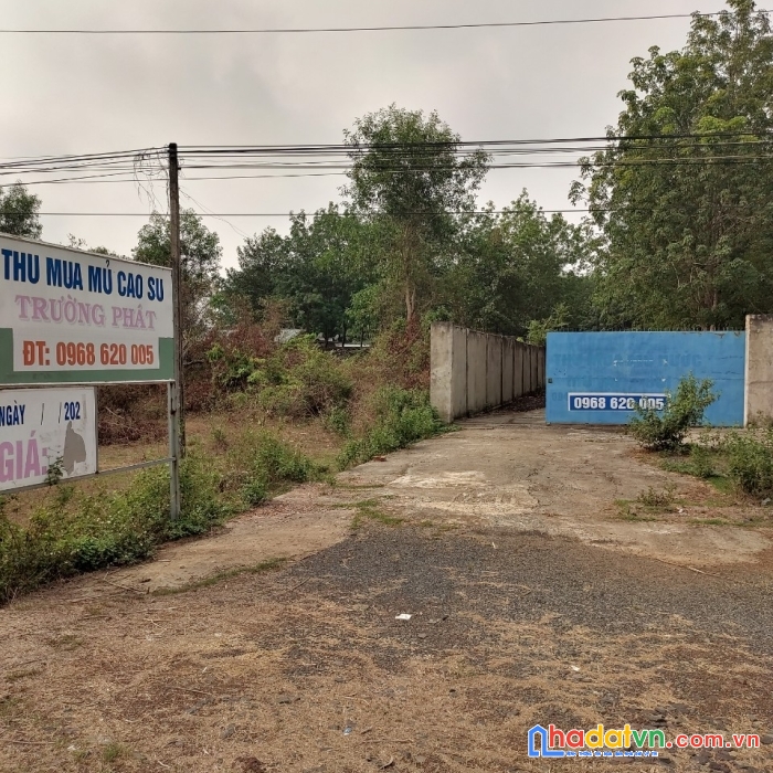 Cho thuê nhà xưởng bình phước dài hạn giá rẻ chính chủ