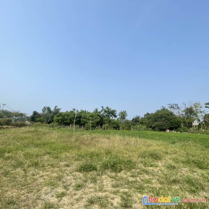 Bán gấp đất lớn giá rẻ phân lô hoặc xây nhà xưởng, trung tâm thương mại tôn đản-5000m2.
