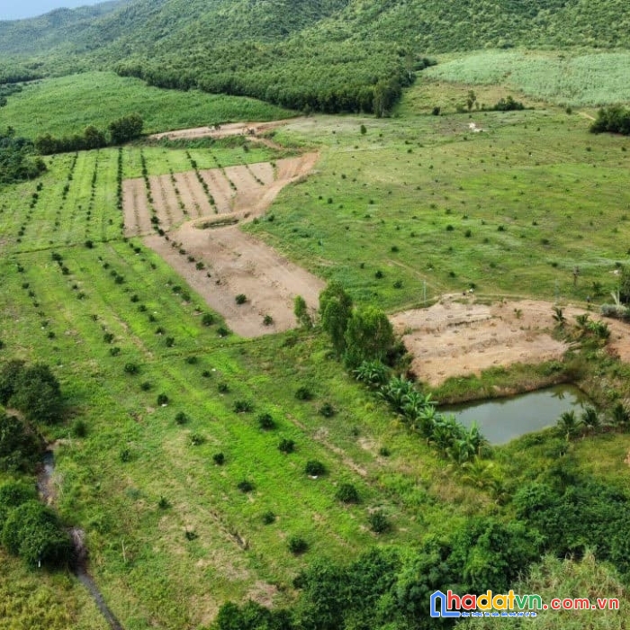 Bán đất diện tích lớn ninh sơn ninh hòa khánh hòa thích hợp làm dự án trang trại