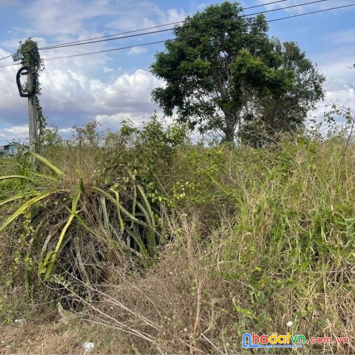 Chính chủ cần bán nhanh đất vị trí đẹp tại xã hồng thái, huyện bắc bình, bình thuận