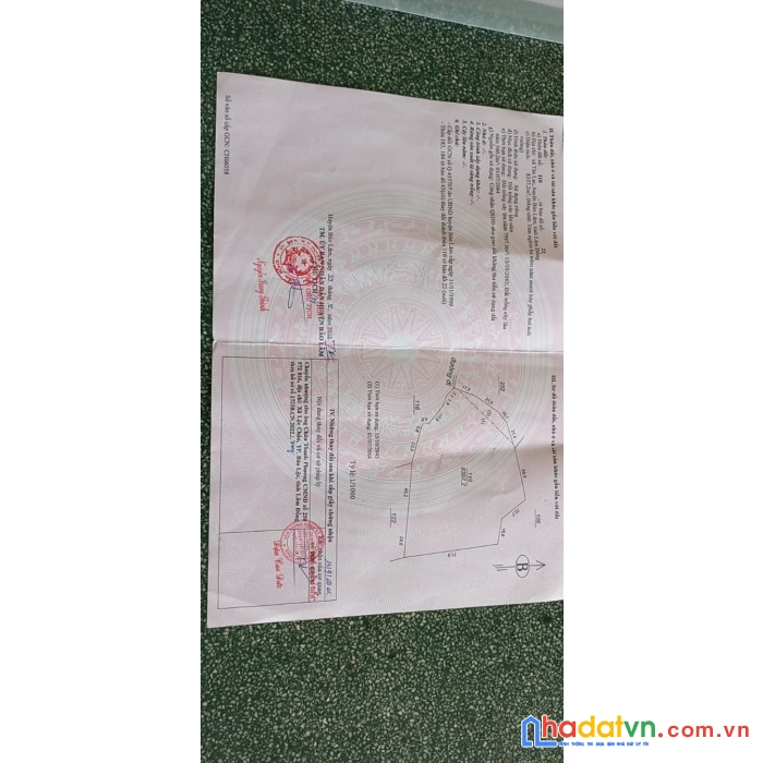 Sở hữu ngay lô đất đẹp vị trí đắc địa tại thôn 1, xã tân lạc, huyện bảo lâm, lâm đồng