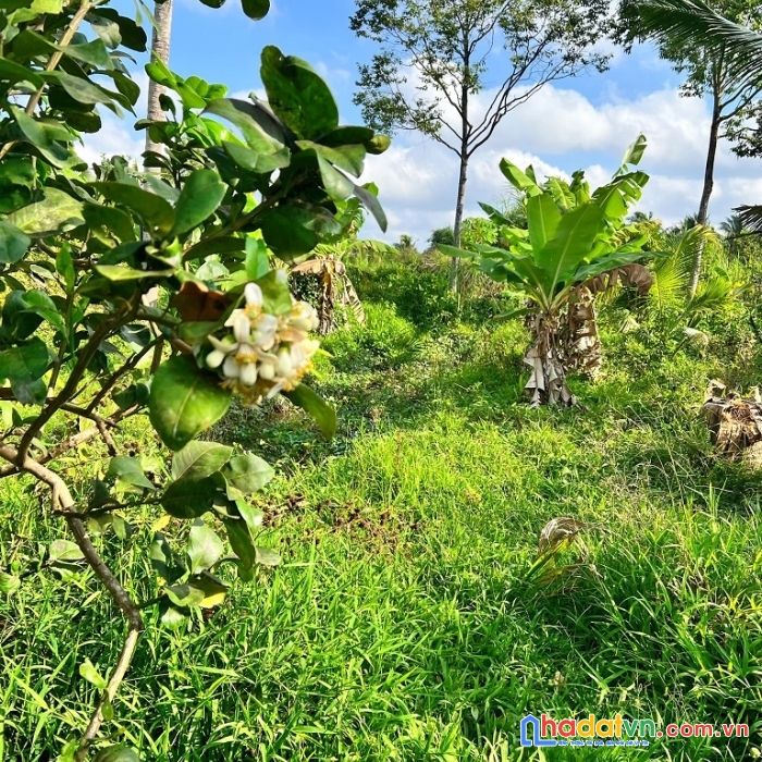 Chính chủ bán gấp lô đất vị trí đẹp tại vũng liêm, vĩnh long - giá đầu tư