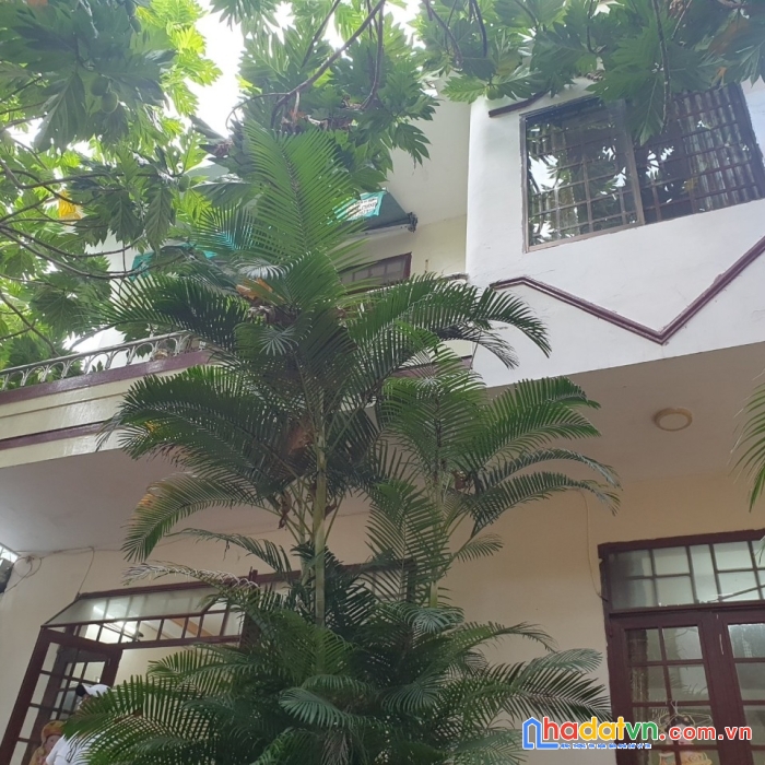 Biệt thự sân vườn trong lòng thành phố, diện tích 165m2, ngang 11m, chỉ 5 tỷ còn tl