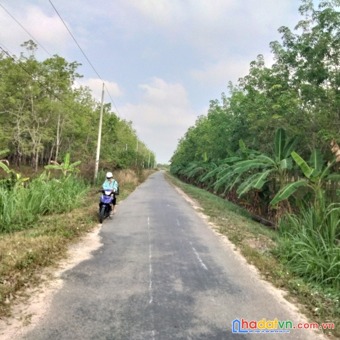 Thời điểm vàng để đầu tư bất động sản giá hời - sổ hồng riêng châu thành - tây ninh