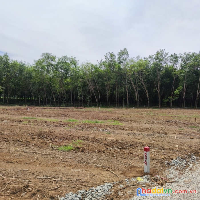 Thời điểm vàng để đầu tư bất động sản giá hời - sổ hồng riêng châu thành - tây ninh