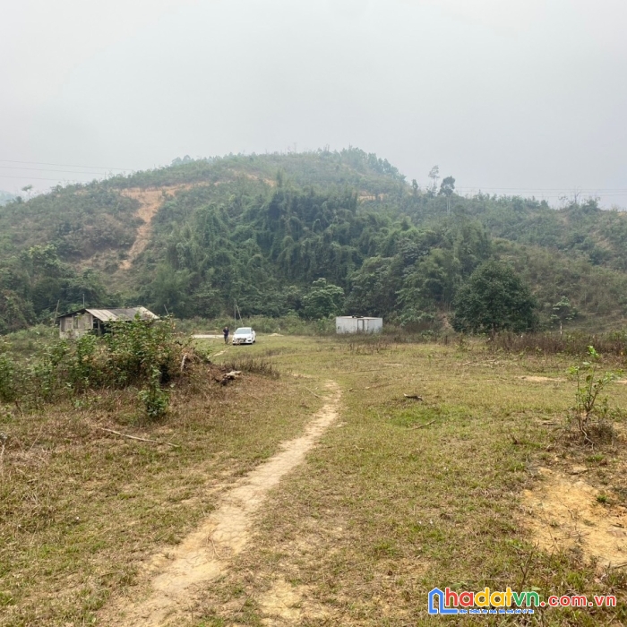 Bán gấp lô đất có tổng diện tích 3,7ha ( diện tích thực tế 6ha) full đất rừng sản xuất