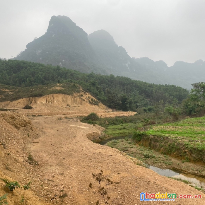 Bán gấp lô đất có tổng diện tích 3,7ha ( diện tích thực tế 6ha) full đất rừng sản xuất