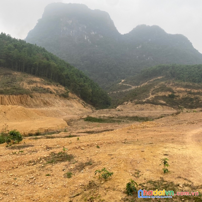 Bán gấp lô đất có tổng diện tích 3,7ha ( diện tích thực tế 6ha) full đất rừng sản xuất