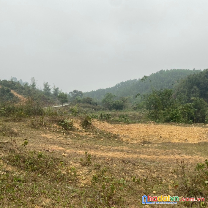 Bán gấp lô đất có tổng diện tích 3,7ha ( diện tích thực tế 6ha) full đất rừng sản xuất