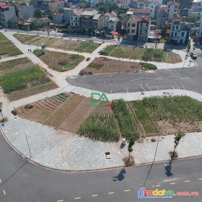 Bán đất đấu giá mai lâm, khu x1 lê xá sát vinhomes cổ loa