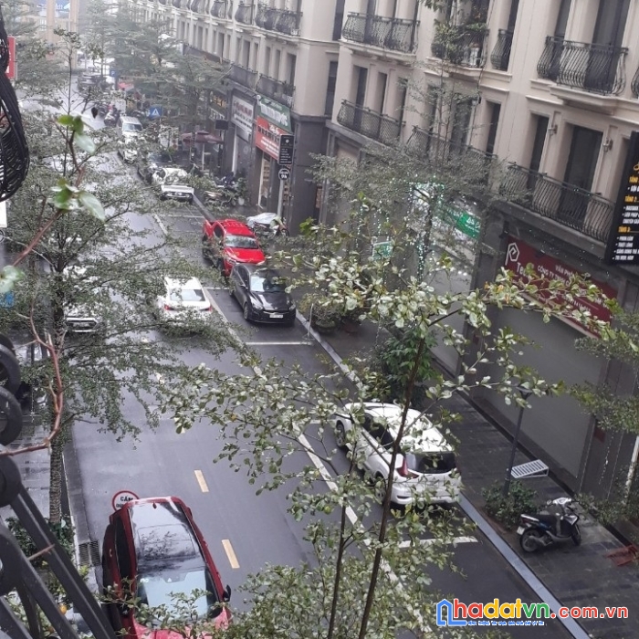 Bán shophouse the terra an hưng mặt sảnh chung cư, kinh doanh tốt, 65m2x7t, mt6.5m