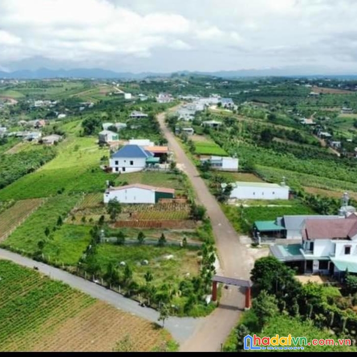 Sở hữu ngay lô đất đẹp vị trí đắc địa tại xã đam bri, tp bảo lộc, lâm đồng