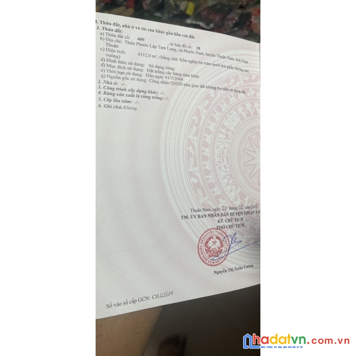 Sở hữu ngay lô đất vị trí đắc địa tại xã phước nam, thuận nam, ninh thuận