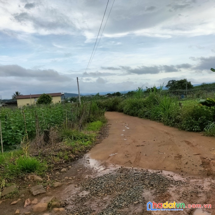 Sở hữu ngay lô đất vị trí đắc địa tại xã phú hội huyện đức trọng,  lâm đồng