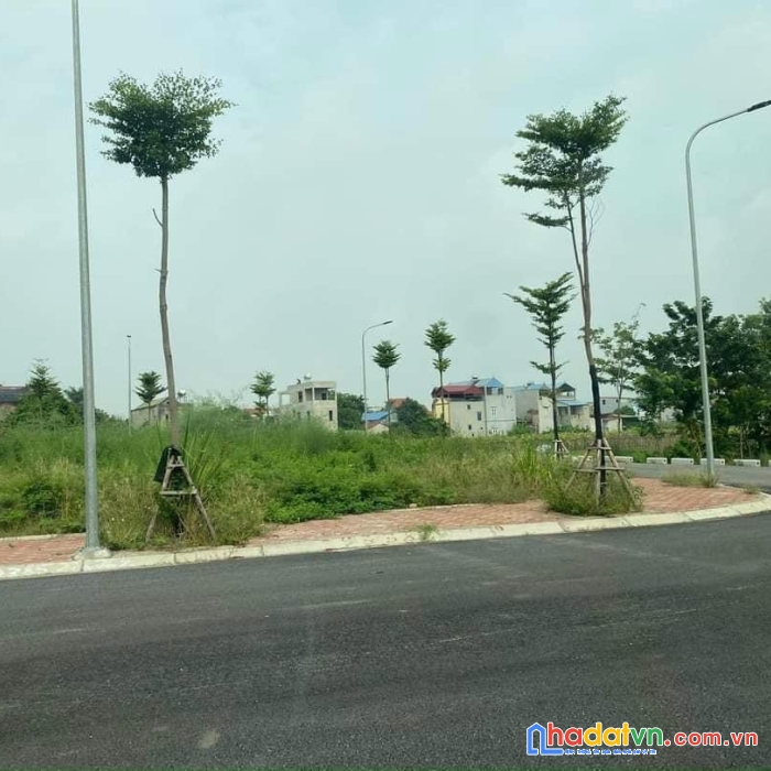 Chính chủ bán 2 lô đât cực đẹp đấu giá x2 xóm ngõ nguyên khê chỉ 4xtr/m2