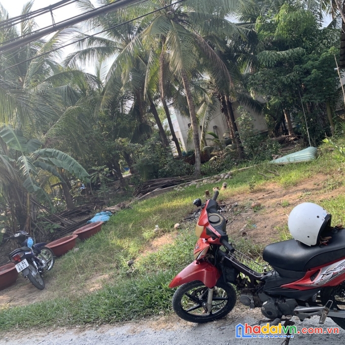 Chính chủ bán nền thổ cư đường xe tải tại xã sơn phú, giồng trôm, bến tre