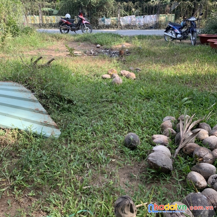 Chính chủ bán nền thổ cư đường xe tải tại xã sơn phú, giồng trôm, bến tre