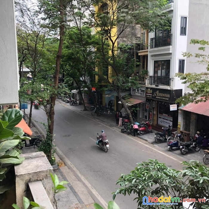 Bán đất mặt phố ba đình 220m mặt tiền 12m giá chào bán 50 tỷ thương lượng