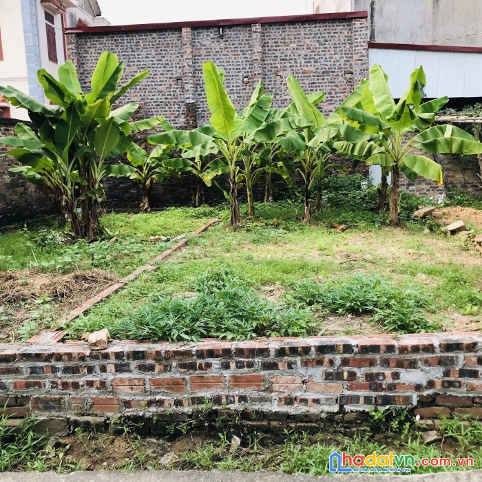 40m quảng hội đường thông tứ phía ô tô đỗsổ sẵn sang tên giá chỉ vài trăm tr