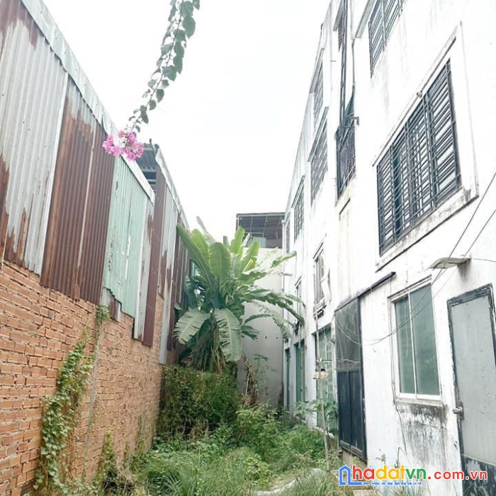 Chính chủ bán đất mặt tiền đường số 10, bhh, nhựa 8m có lề, 81m2 chỉ 5.85 tỷ