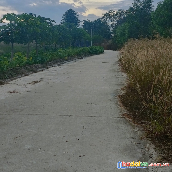 Bán 573m2 đất phú chánh, tp. tân uyên giá ngộp