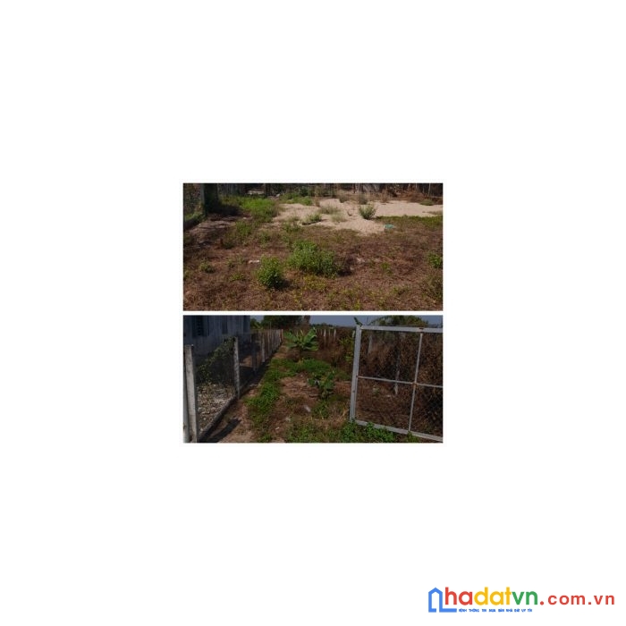 Chính chủ cần bán lô đất thổ cư vị trí đẹp tại tây ninh